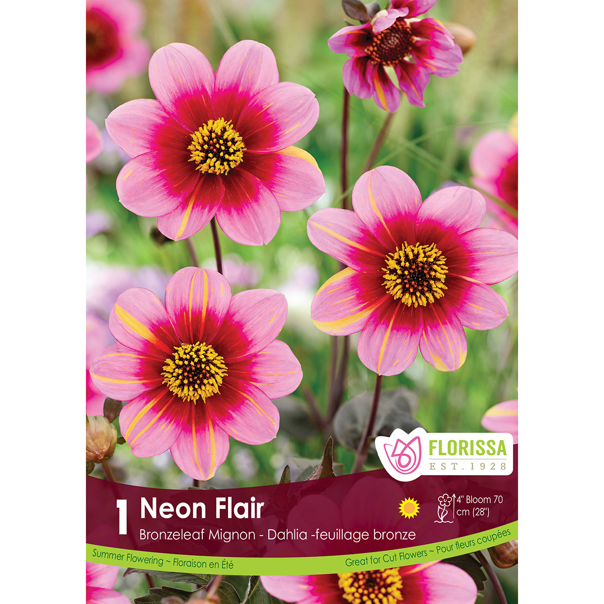 LgKep Dahlia Neon Flair.jpg