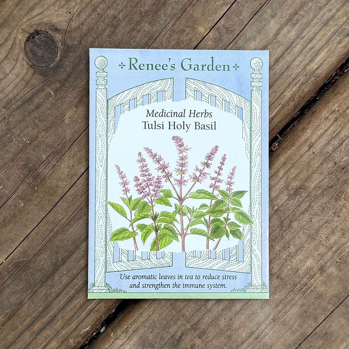 Renees_Basil_TulsiHoly.jpg