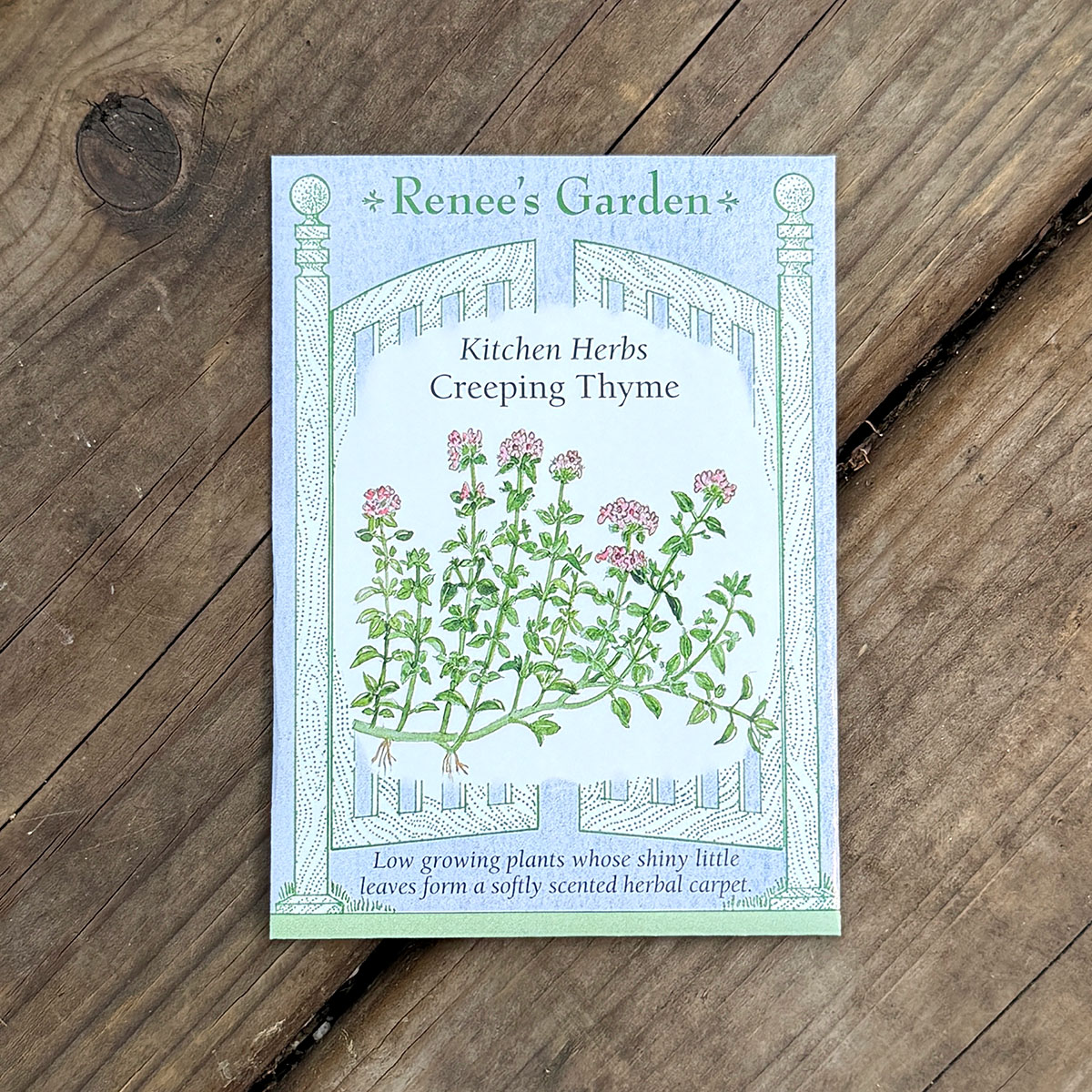Renees_CreepingThyme.jpg