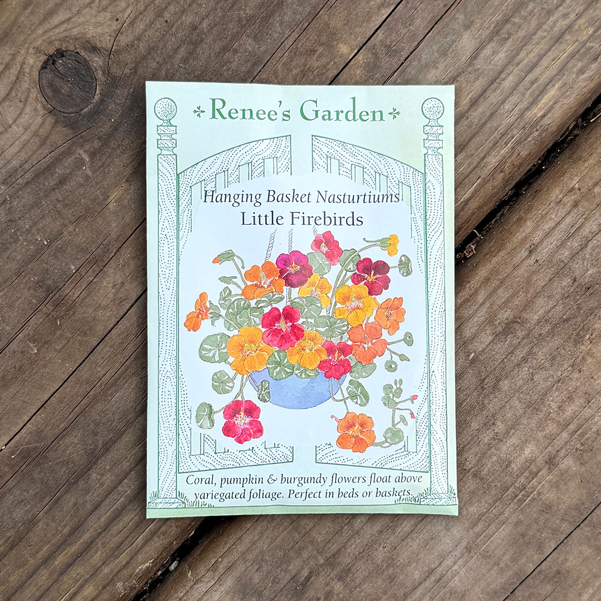 Renees_Nasturium_LittleFireBirds.jpg