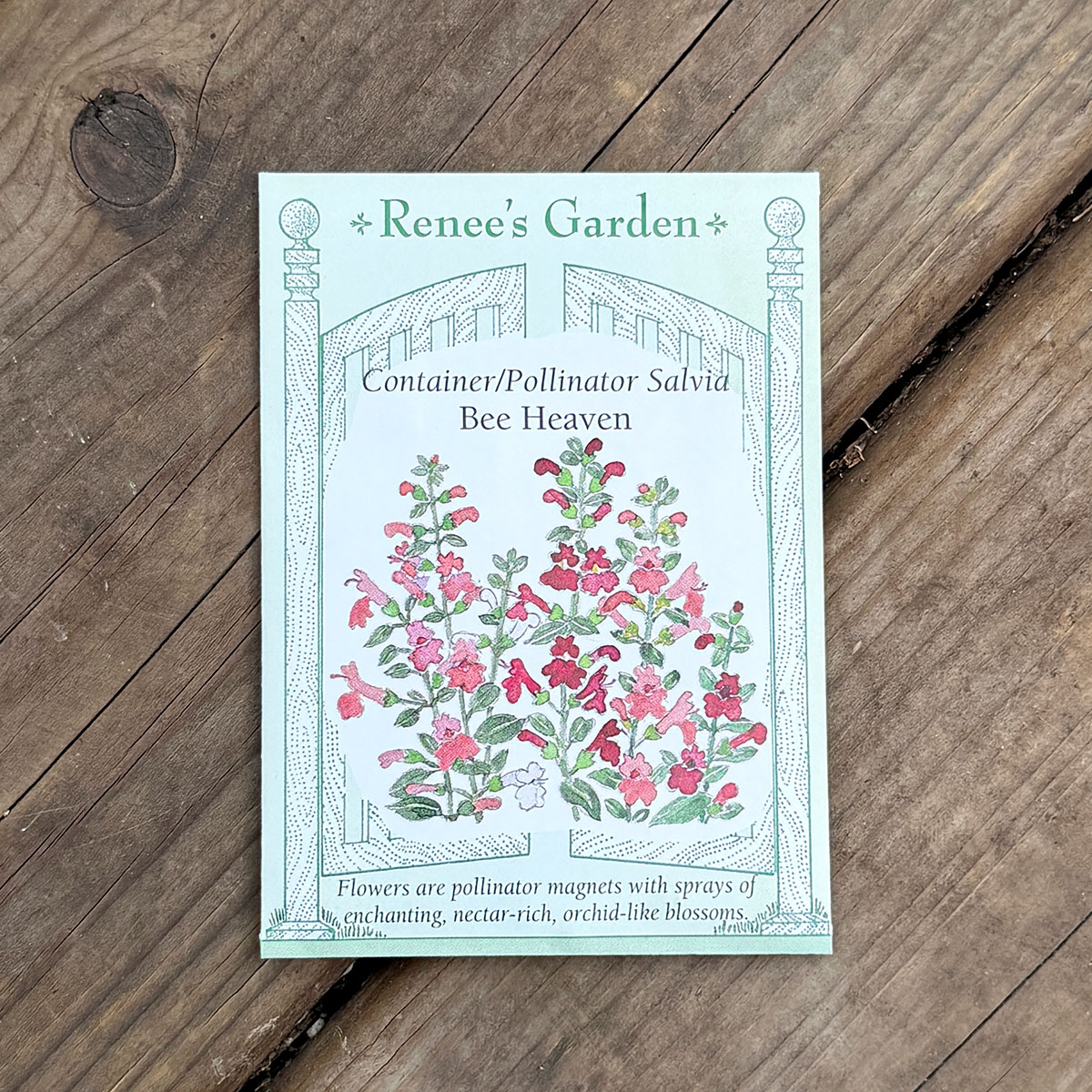 Renees_Salvia_BeeHaven.jpg