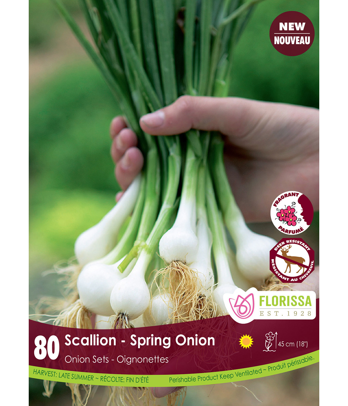 Scallion_Onion_Sets_vnb.jpg