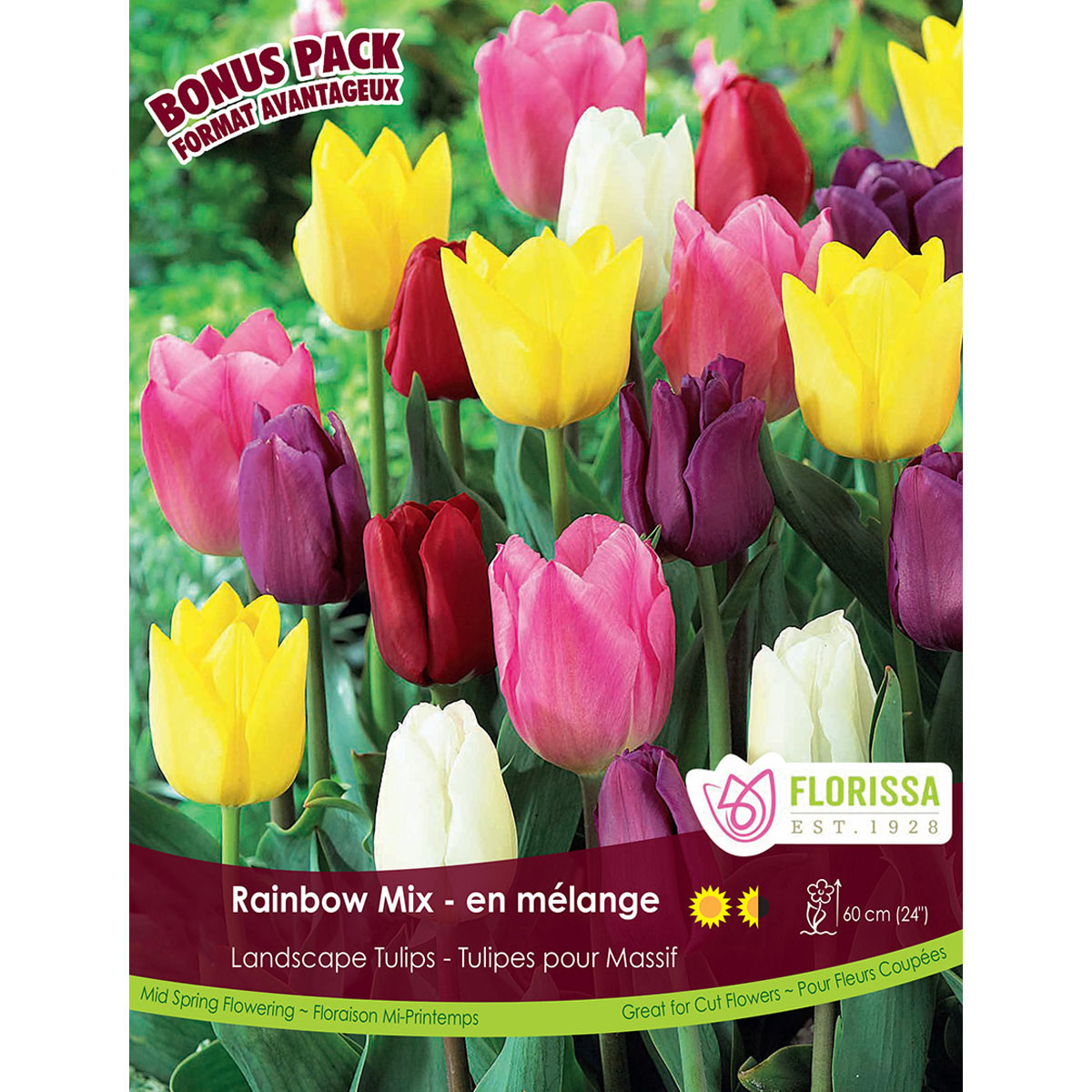 Tulip-RainbowMix.jpg