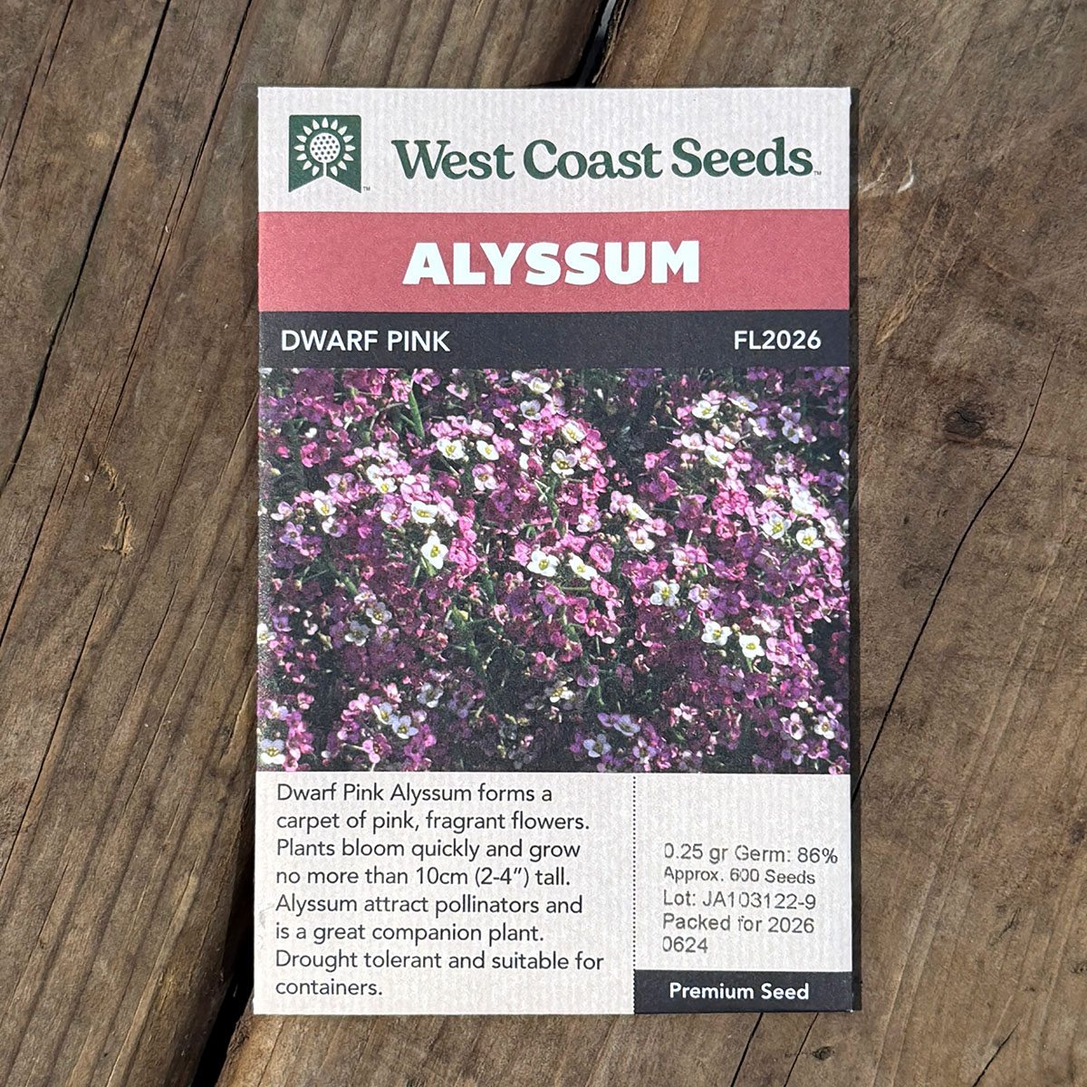 WCS_Alyssum_DwarfPink.jpg