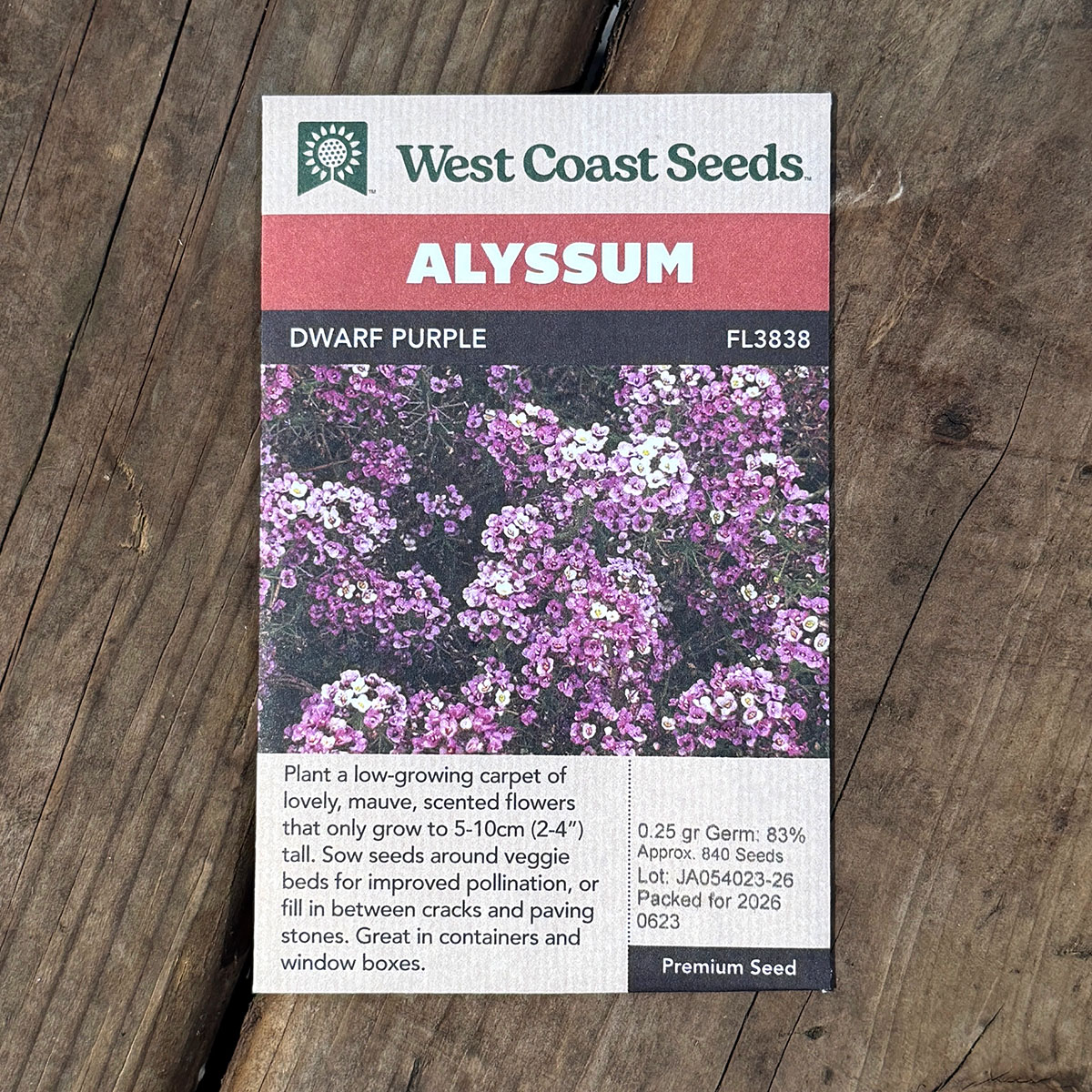 WCS_Alyssum_DwarfPurple.jpg