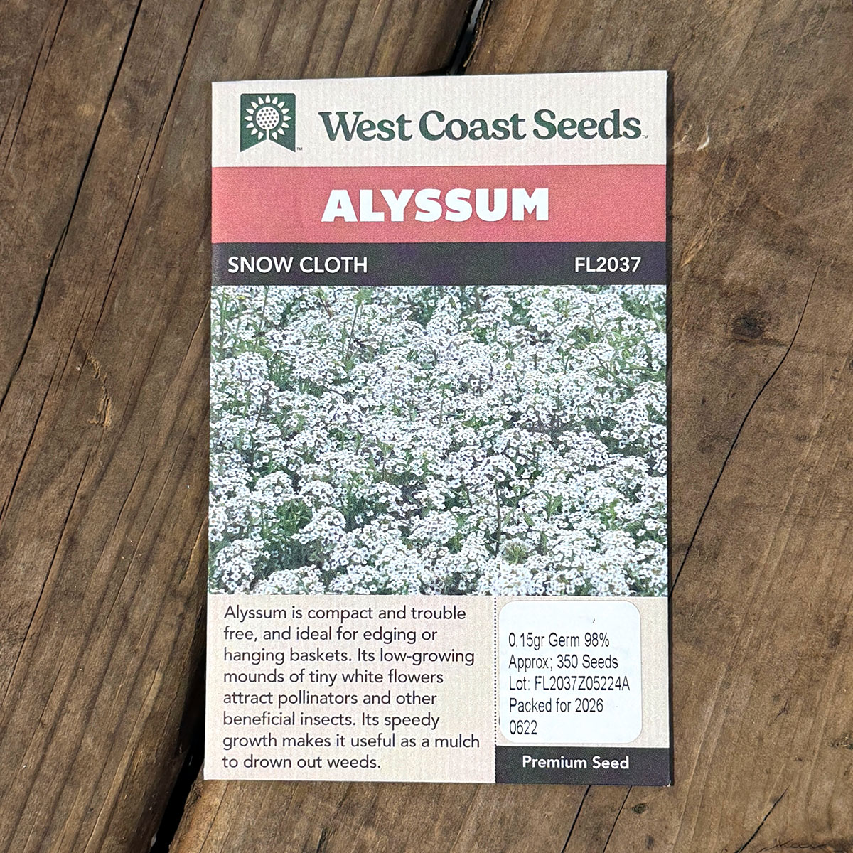 WCS_Alyssum_SnowCloth.jpg