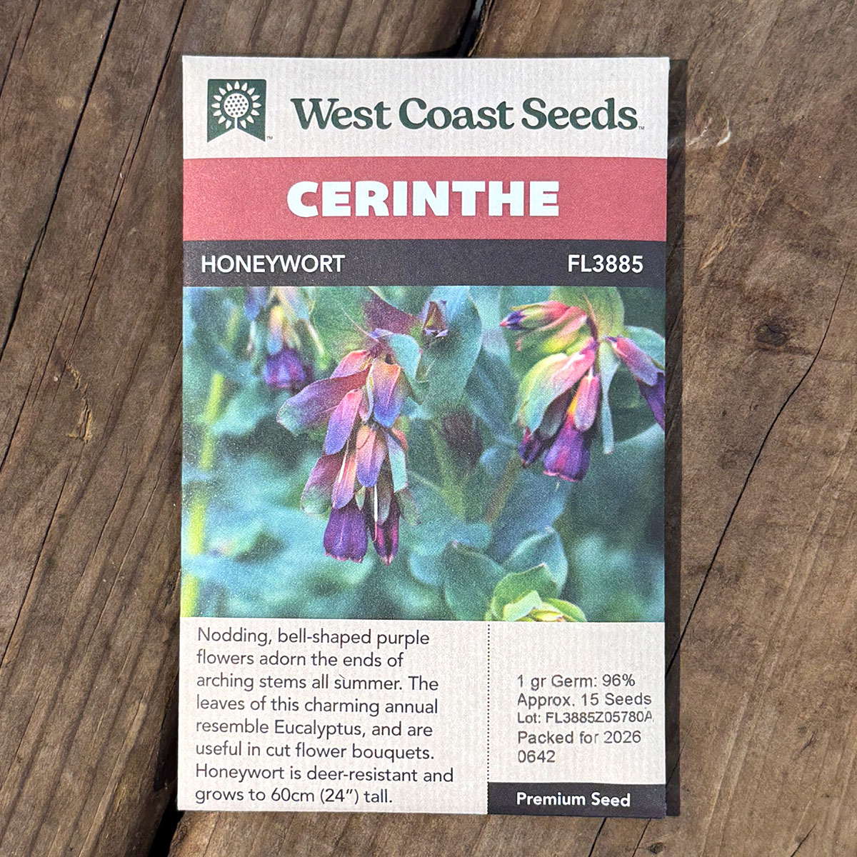 WCS_Cerinthe_Honeywort.jpg