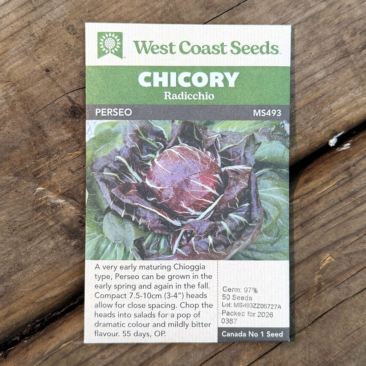 WCS_Chicory_Perseo.jpg