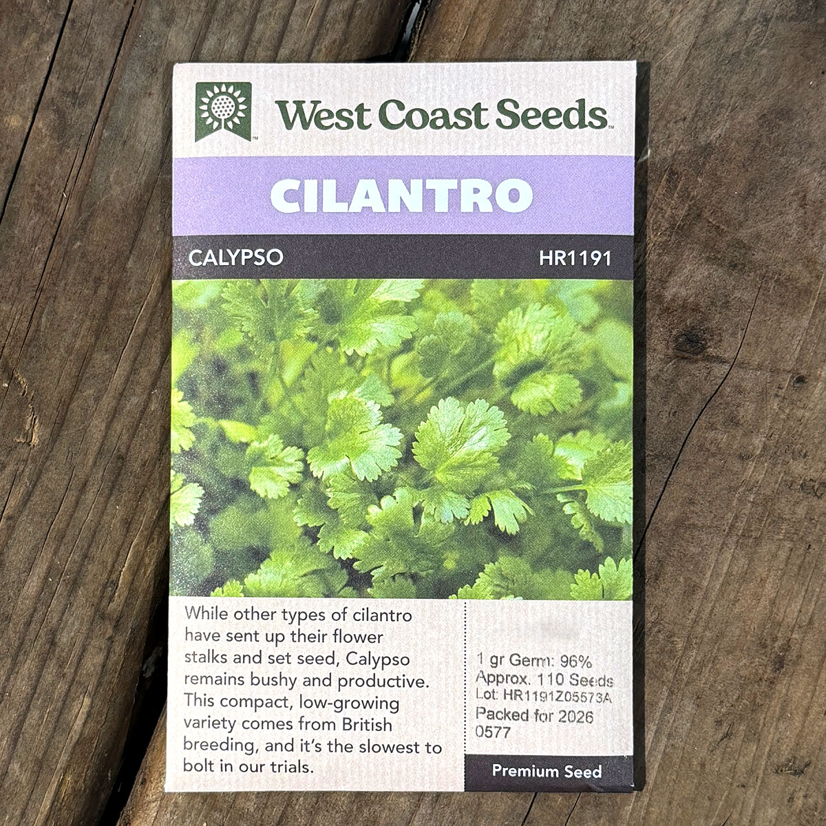 WCS_Cilantro_Calypso.jpg