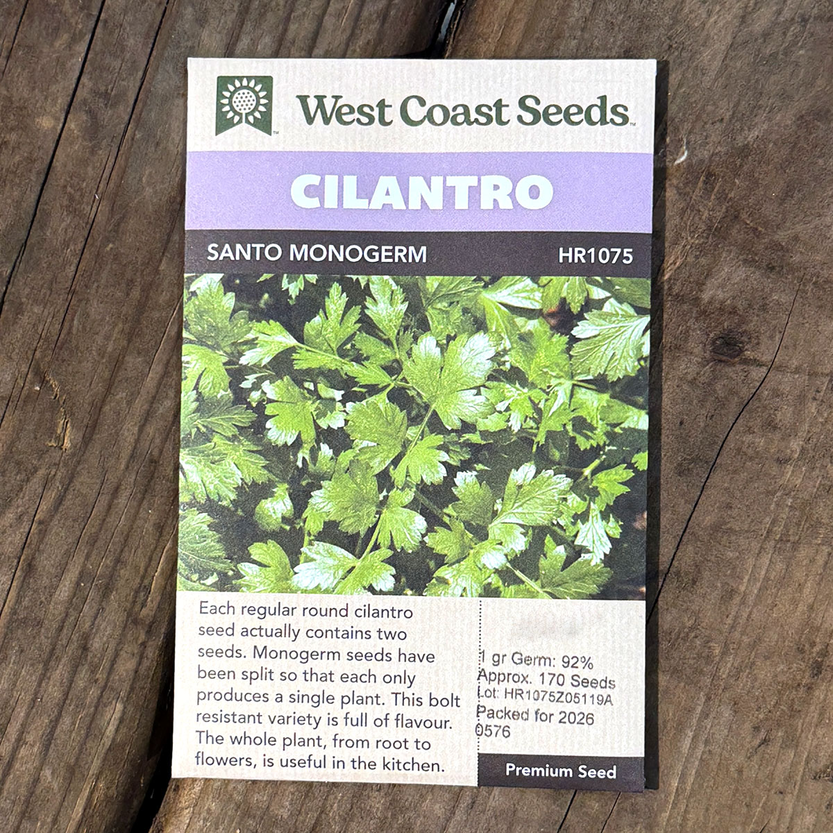 WCS_Cilantro_SantoMonogerm.jpg
