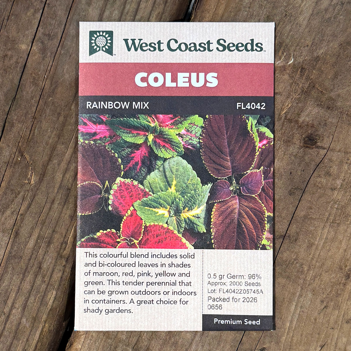 WCS_Coleus_RainbowMix.jpg