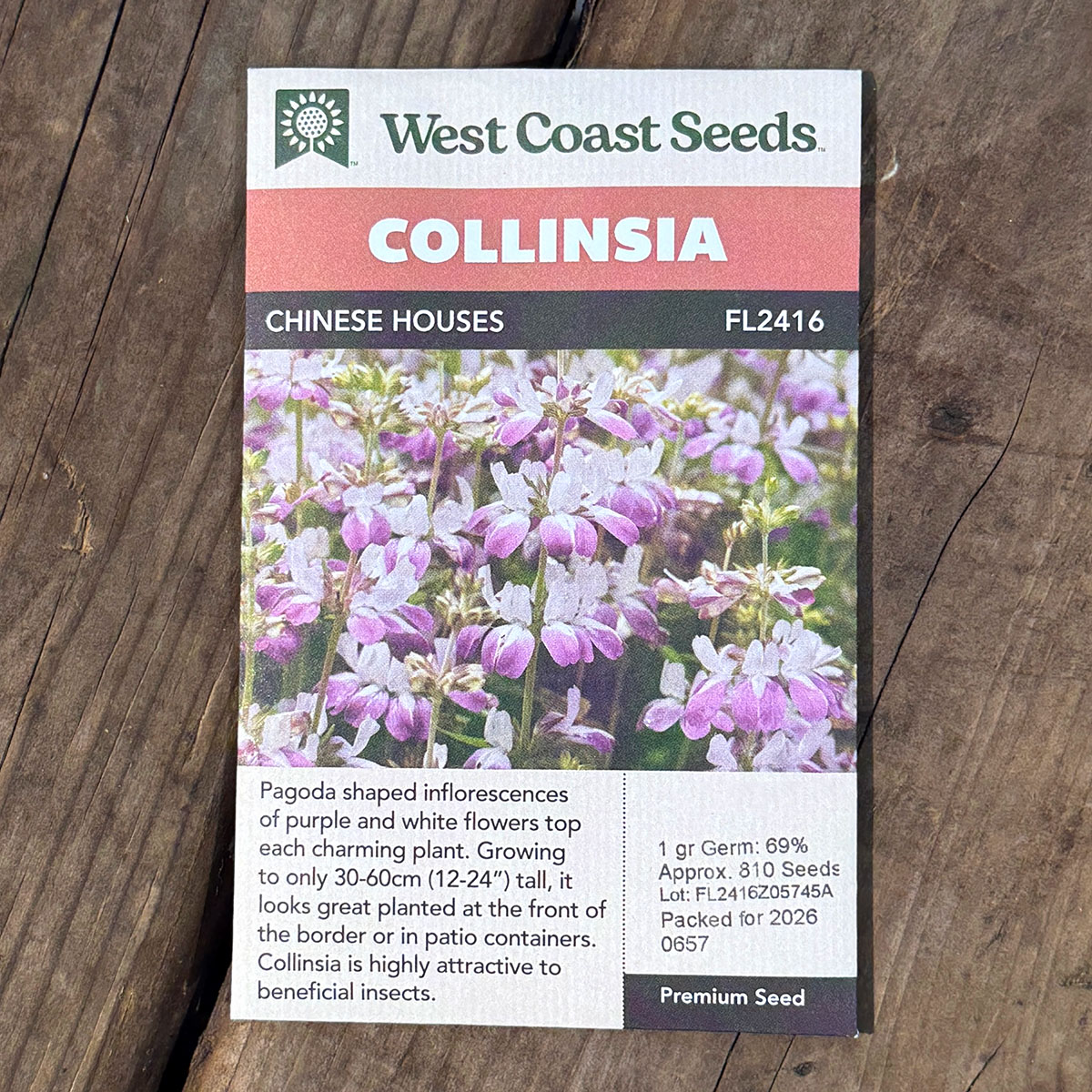 WCS_Collinsia_ChineseHouses.jpg