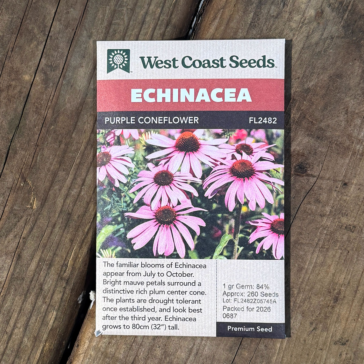 WCS_Echinacea_PurpleConeflower.jpg