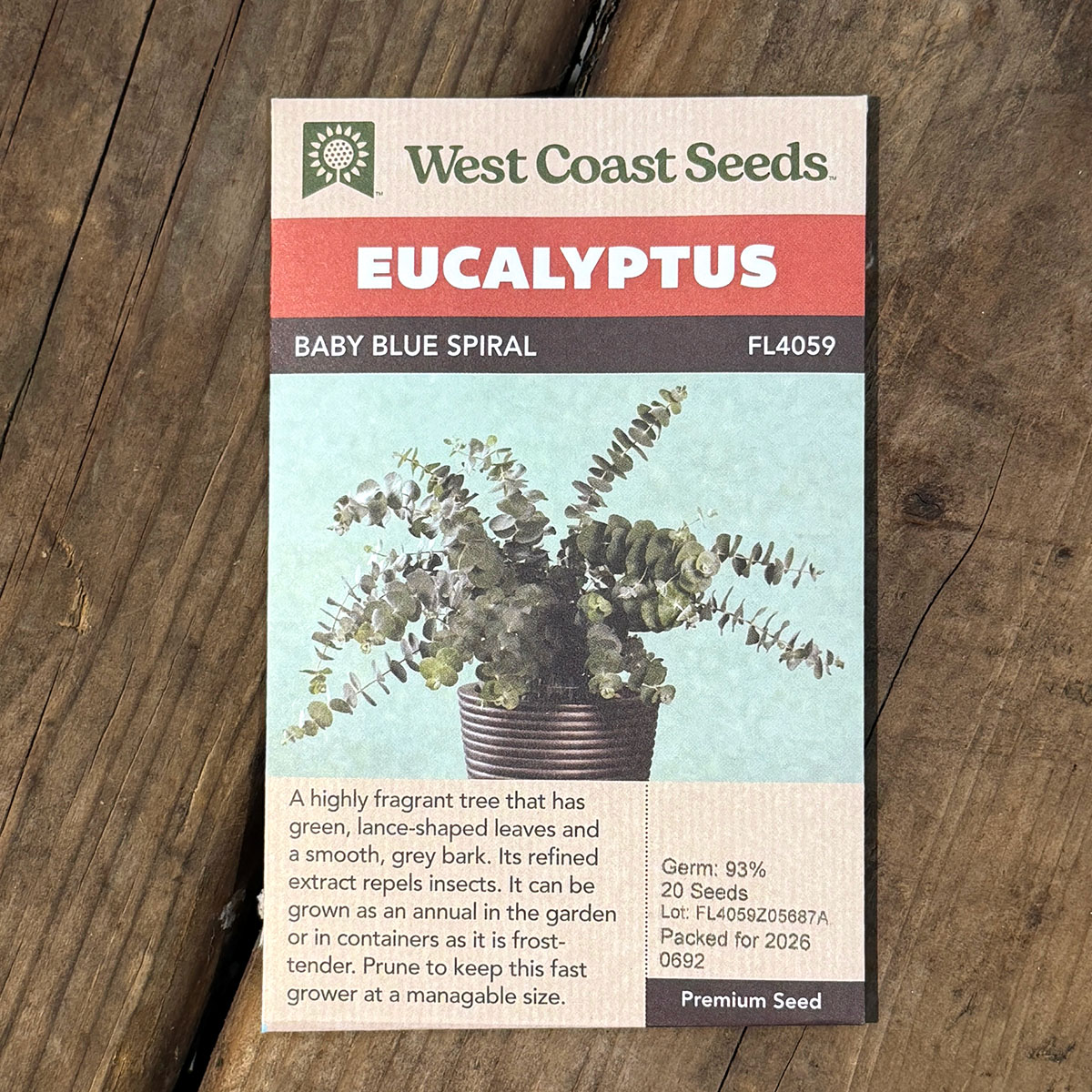WCS_Eucalyptus_BabyBlueSpiral.jpg