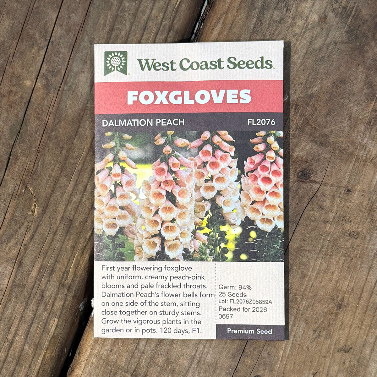 WCS_Foxgloves_DalmationPeach.jpg
