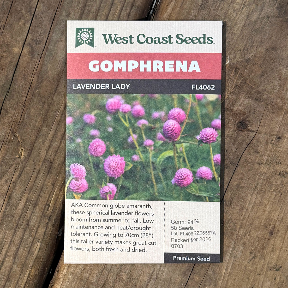 WCS_Gomphrena_LavenderLady.jpg