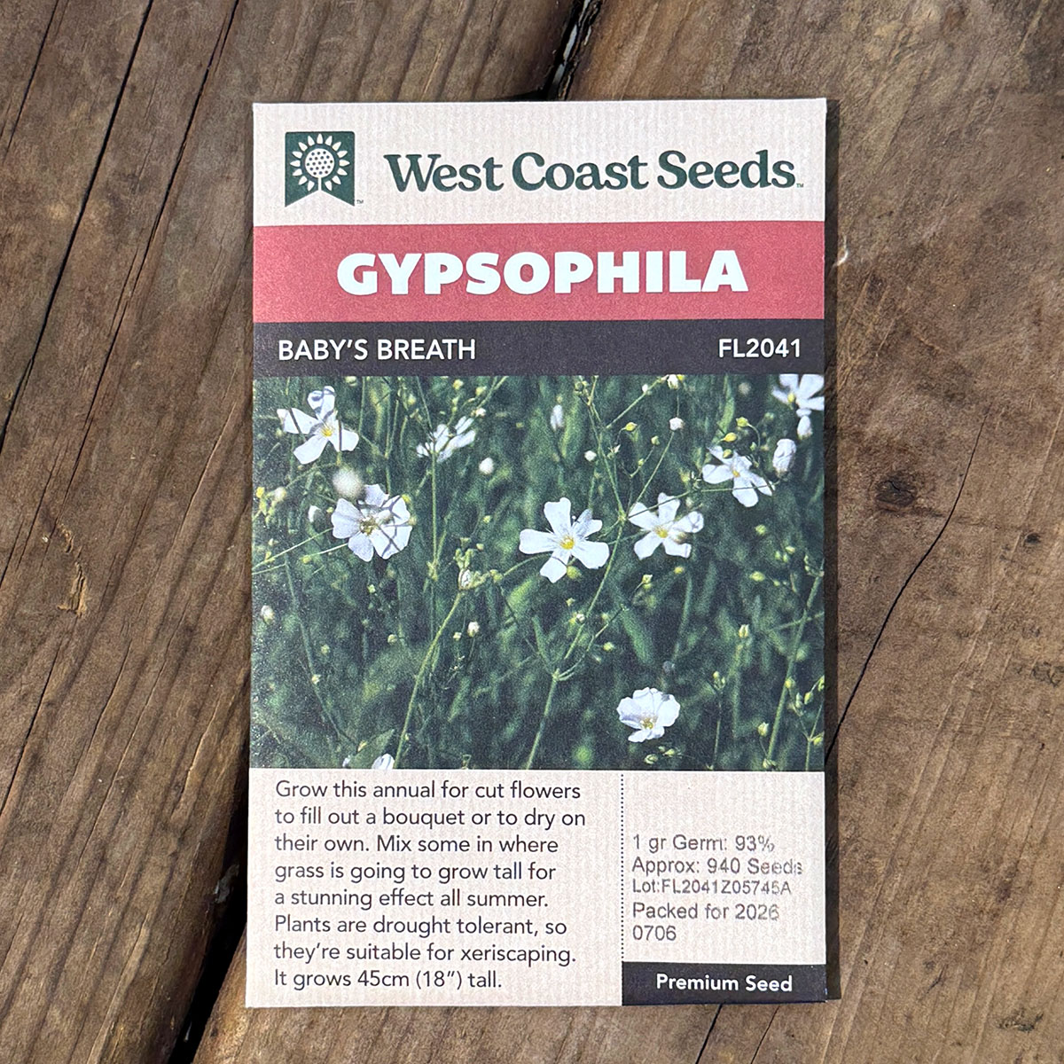 WCS_Gypsophila.jpg