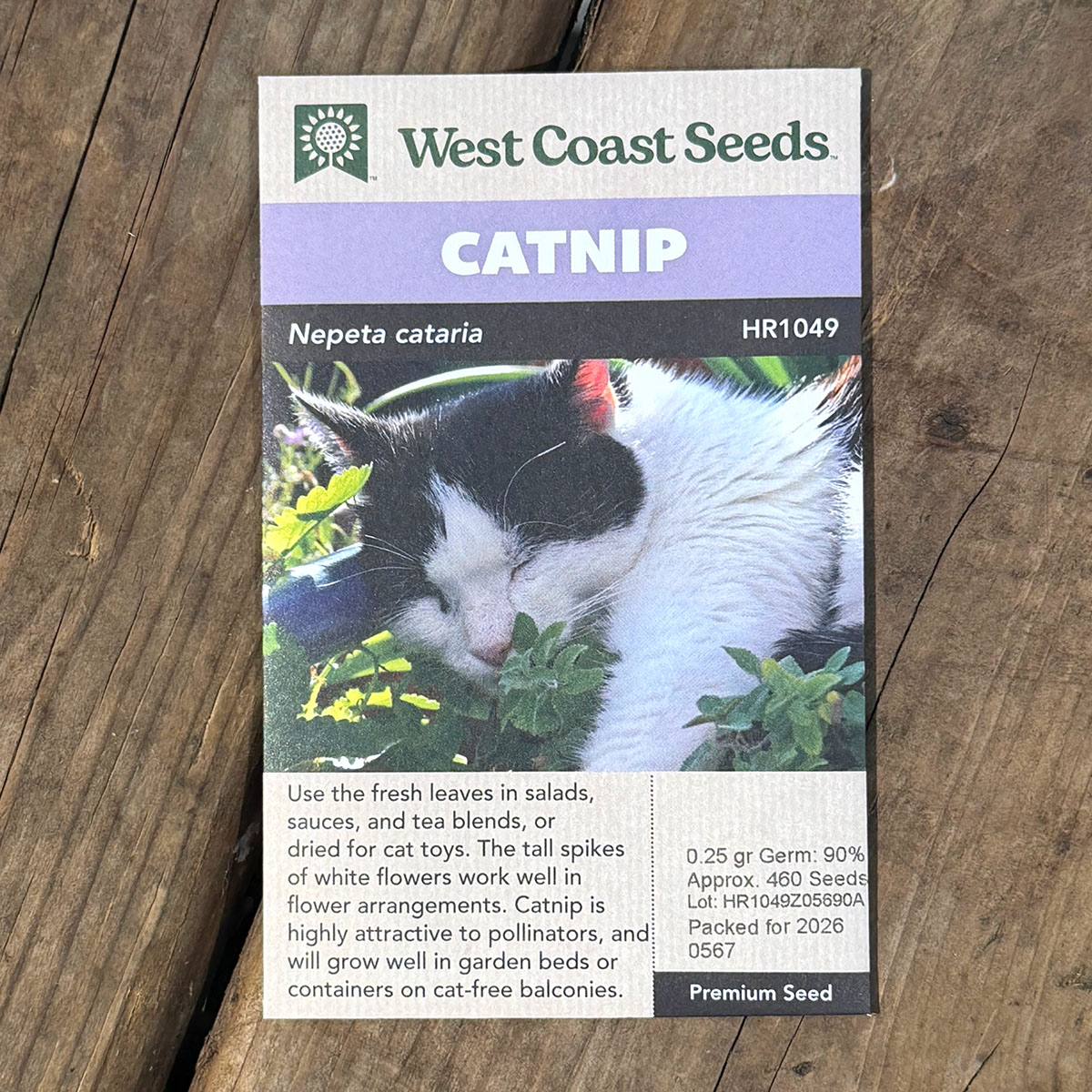 WCS_Herbs_Catnip.jpg