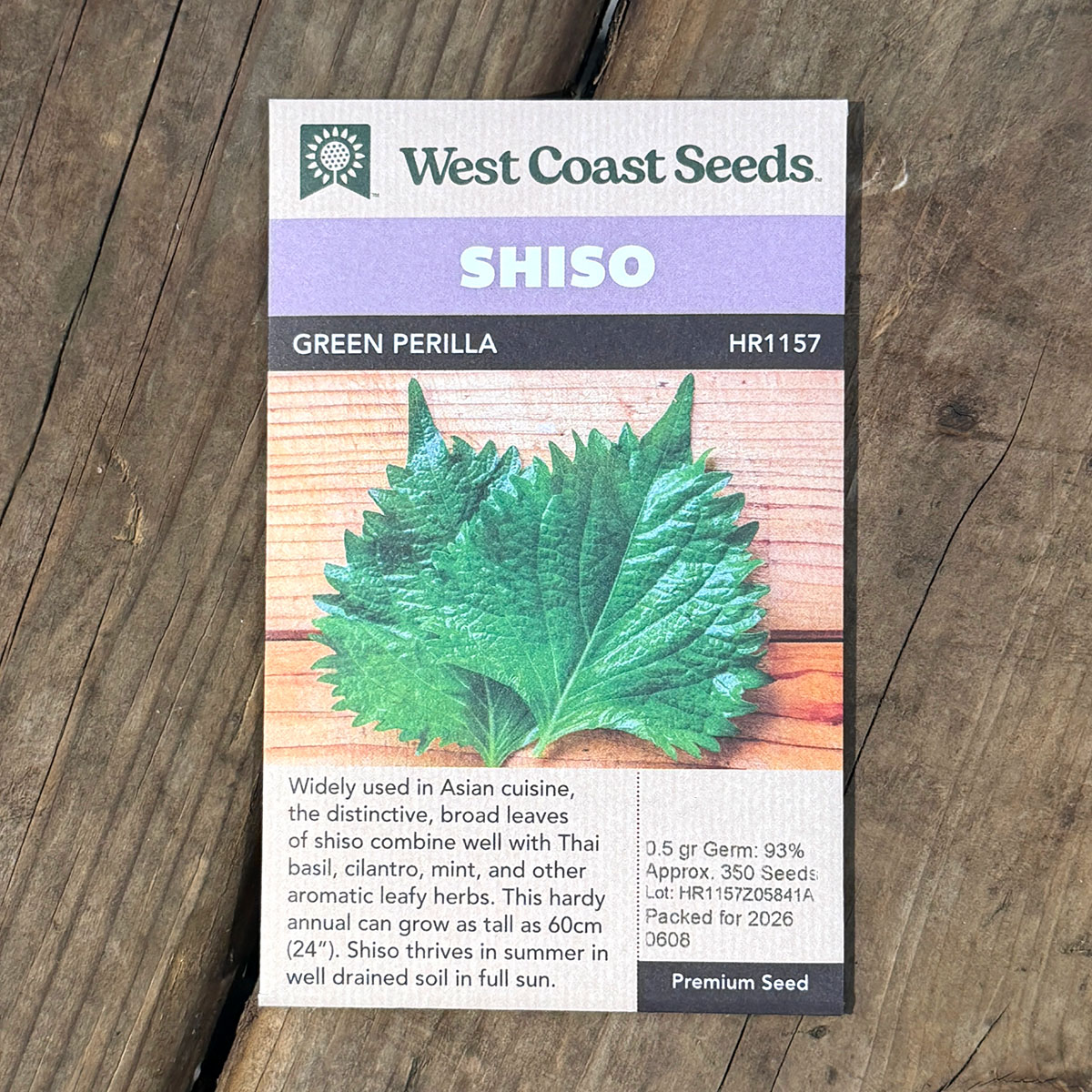 WCS_Herbs_Shiso_GreenPerilla.jpg