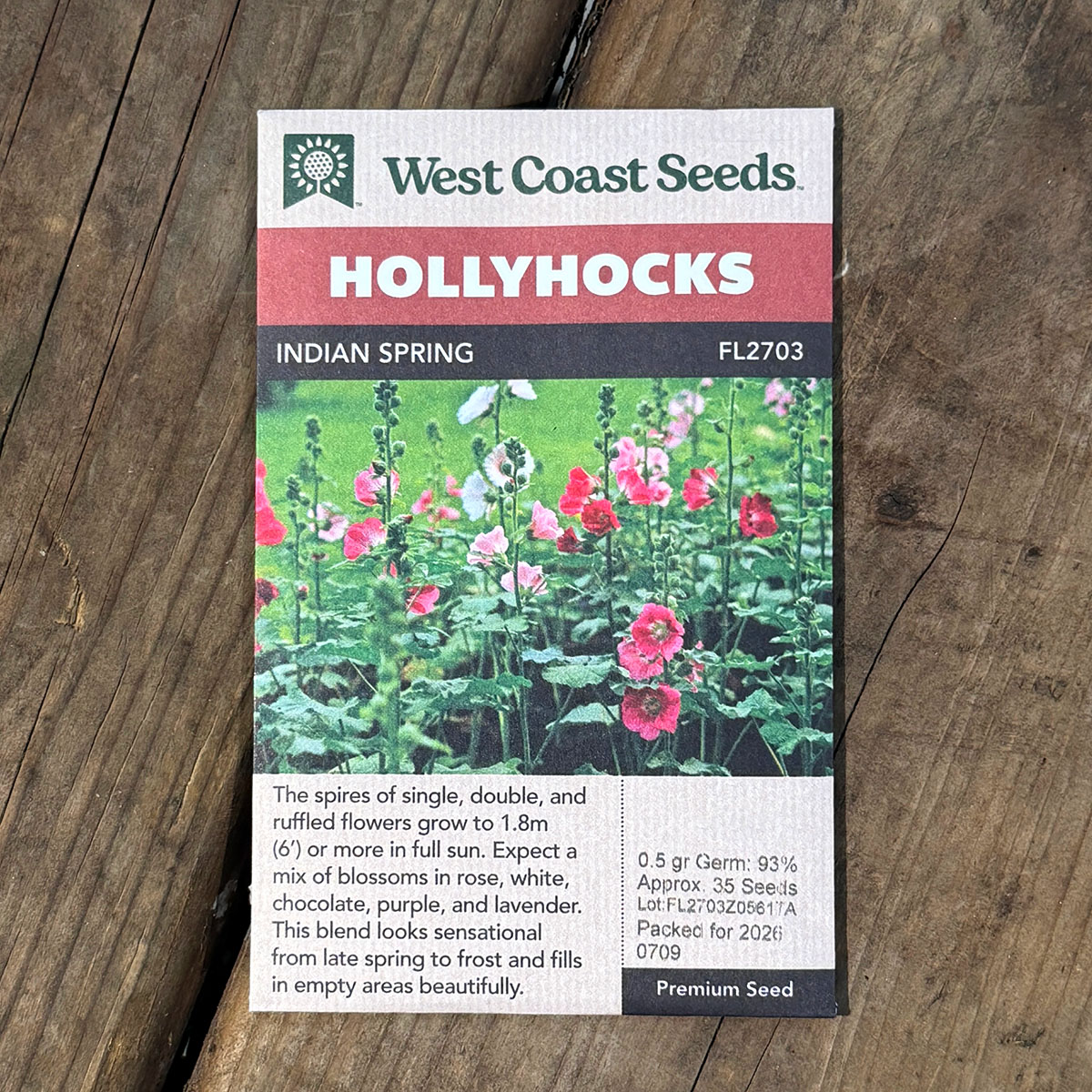 WCS_HollyHocks_IndianSpring.jpg