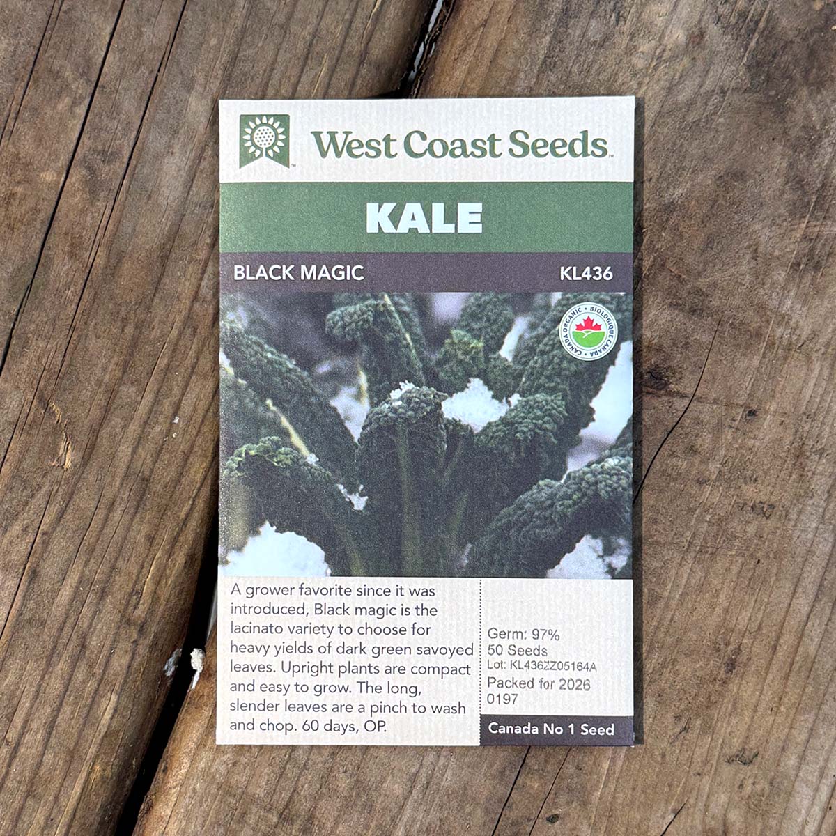 WCS_Kale_BlackMagic.jpg