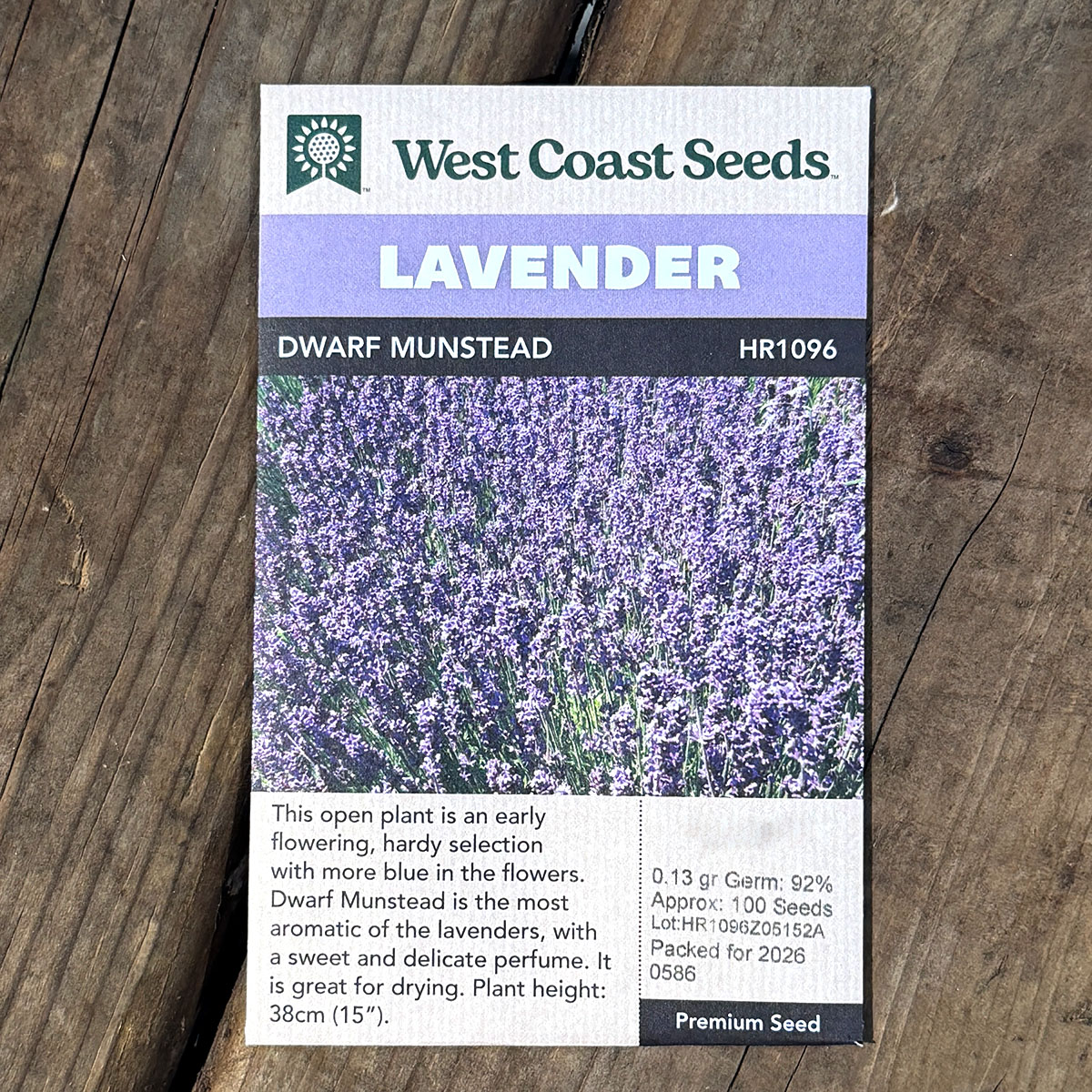 WCS_Lavender_DwarfMunstead.jpg