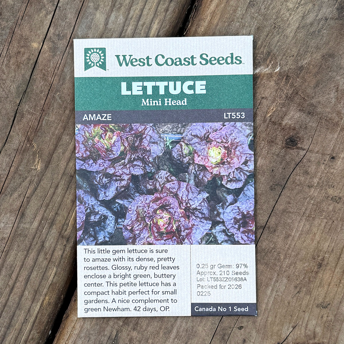 WCS_Lettuce_Amaze.jpg