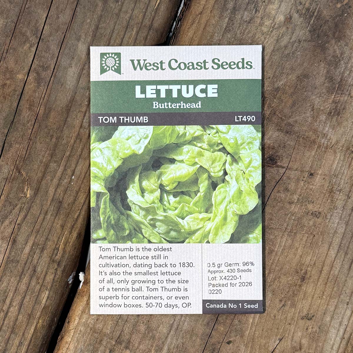WCS_Lettuce_TomThumb.jpg