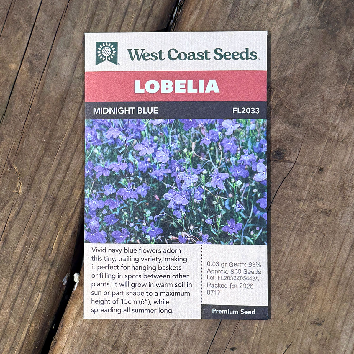 WCS_Lobelia_MidnightBlue.jpg