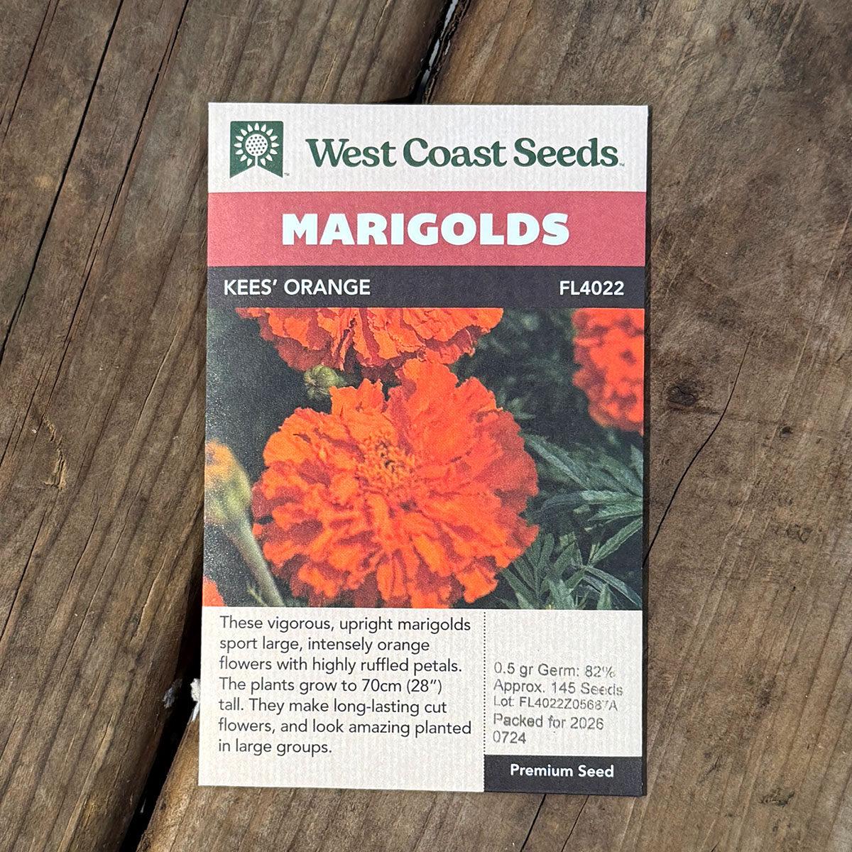 WCS_Marigolds_KeesOrange.jpg