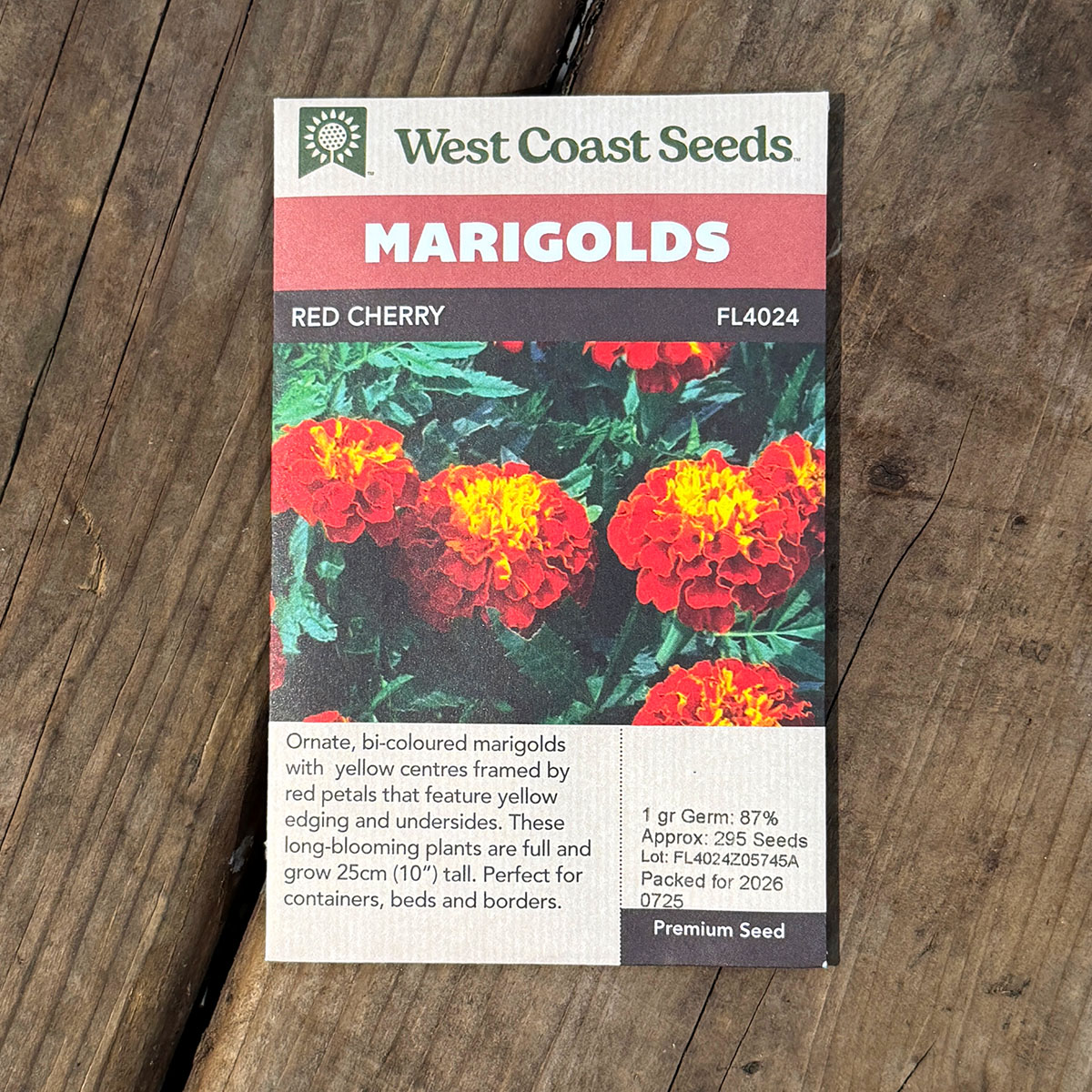 WCS_Marigolds_RedCherry.jpg