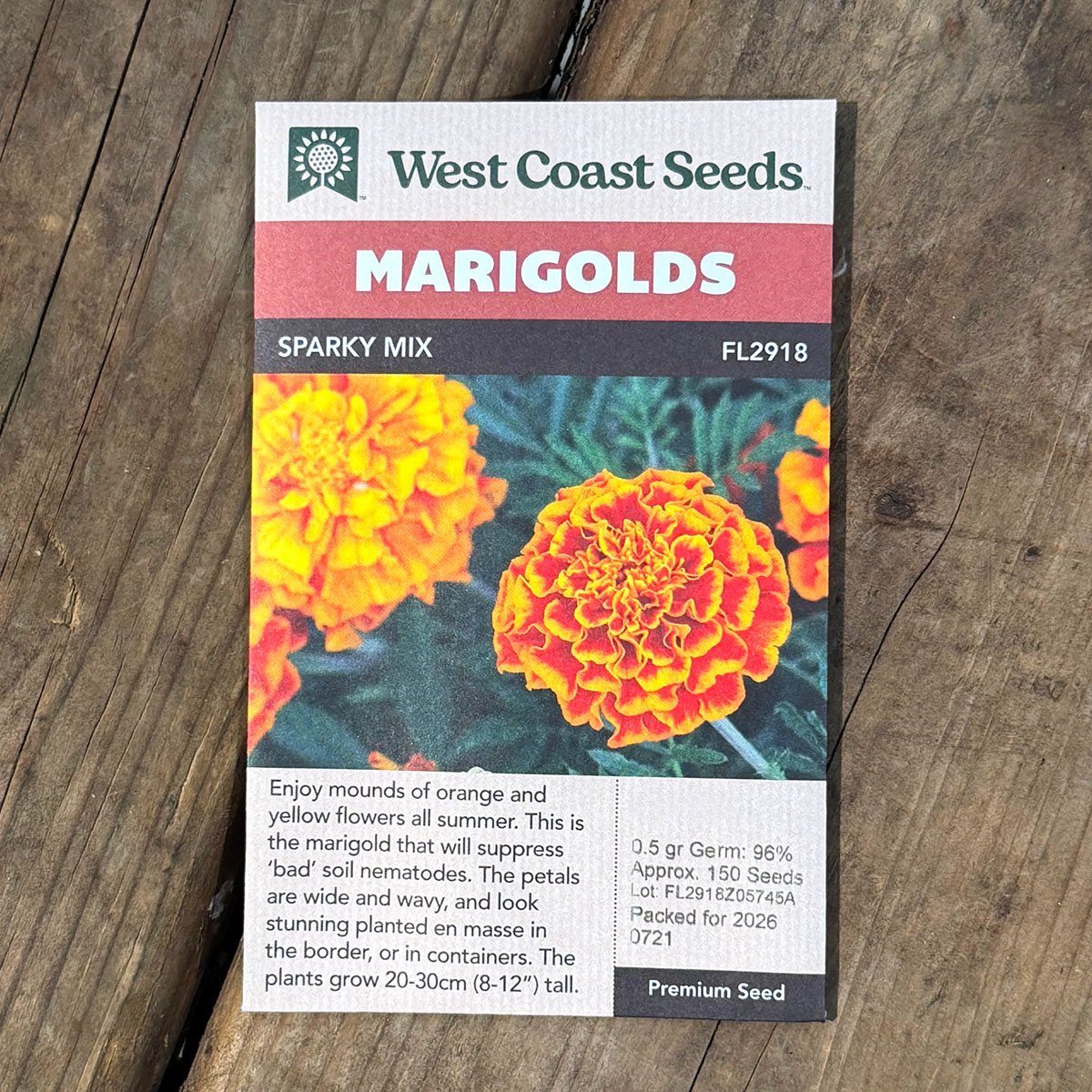 WCS_Marigolds_SparkyMix.jpg