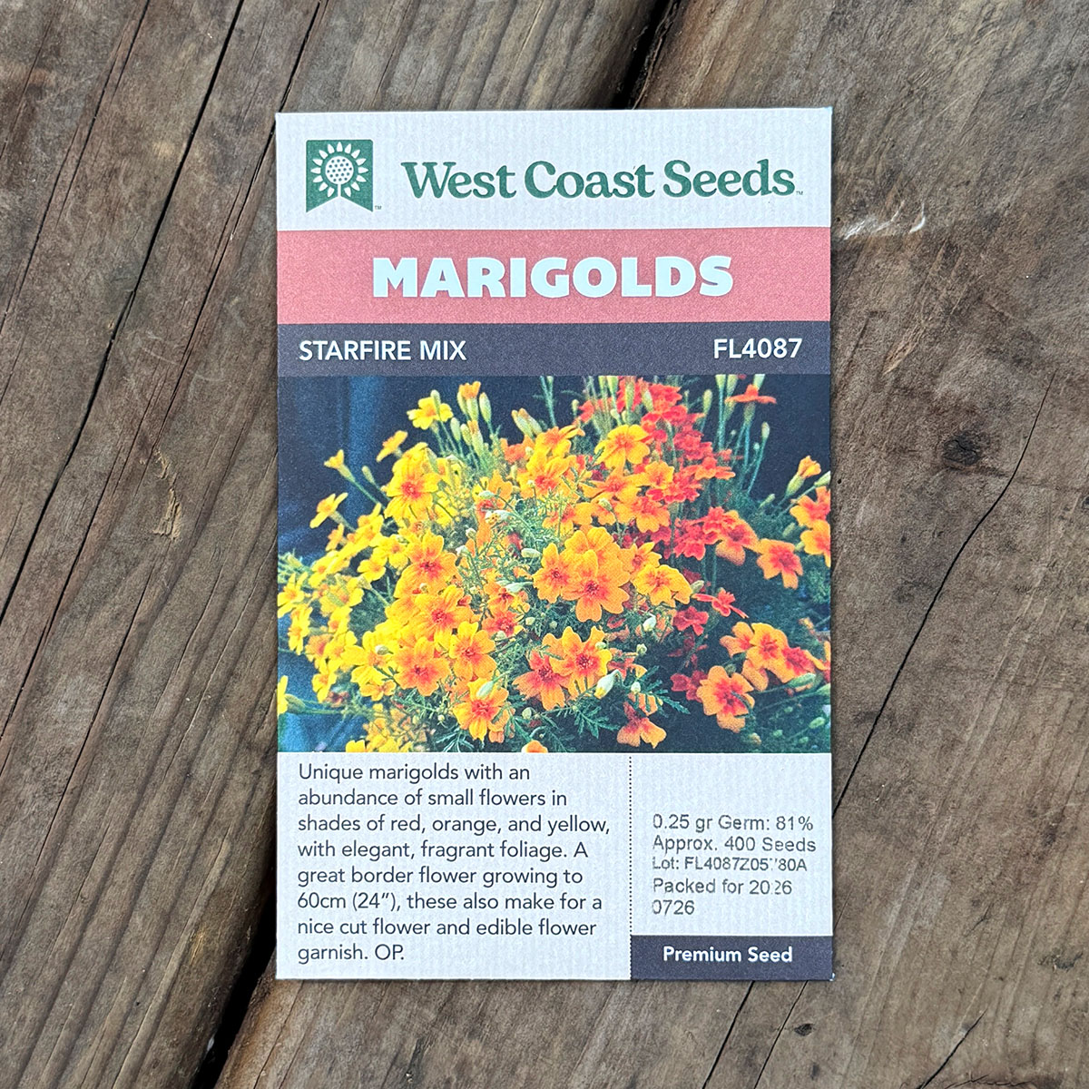WCS_Marigolds_StarfireMix.jpg