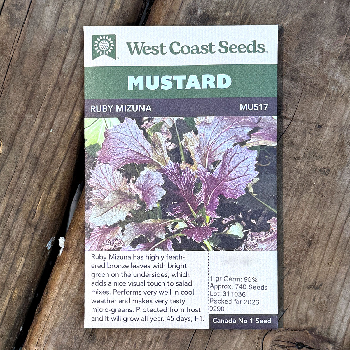 WCS_Mustard_RubyMizuna.jpg