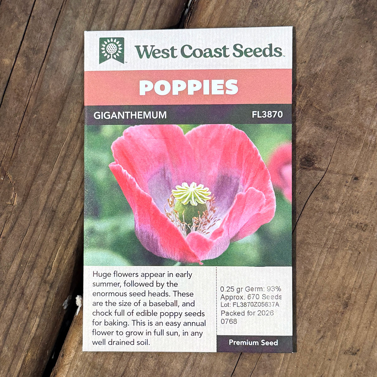 WCS_Poppies_Giganthemum.jpg