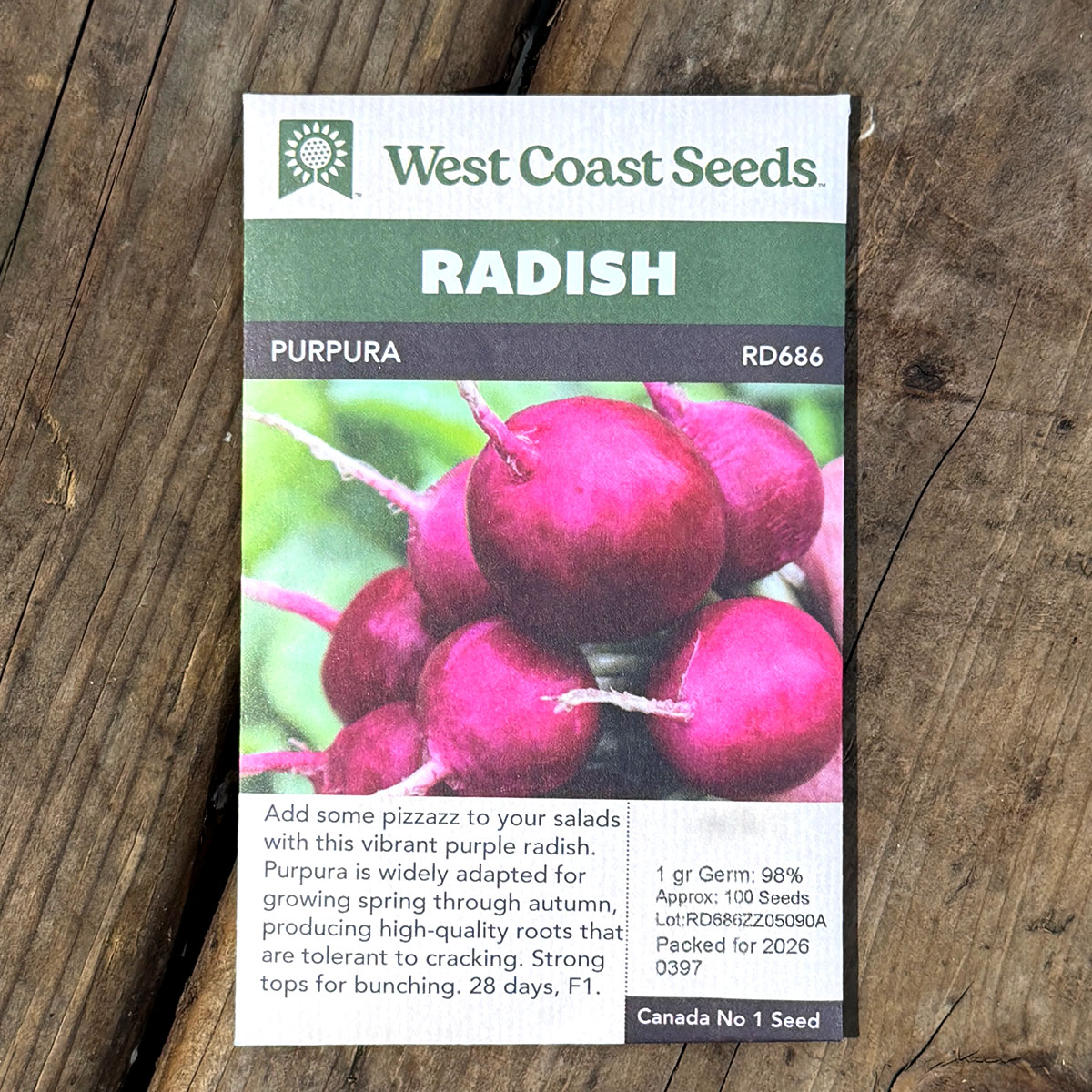 WCS_Radish_Purpura.jpg