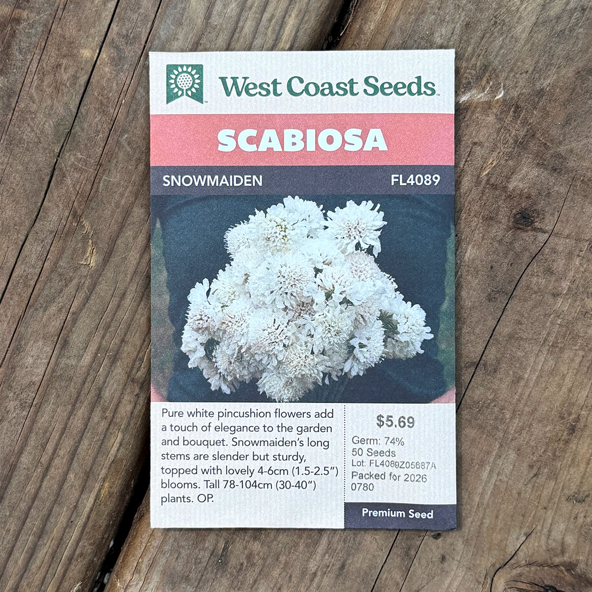 WCS_Scabiosa_SnowMaiden.jpg