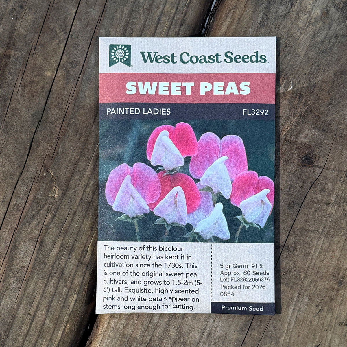 WCS_SweetPeas_PaintedLadies.jpg