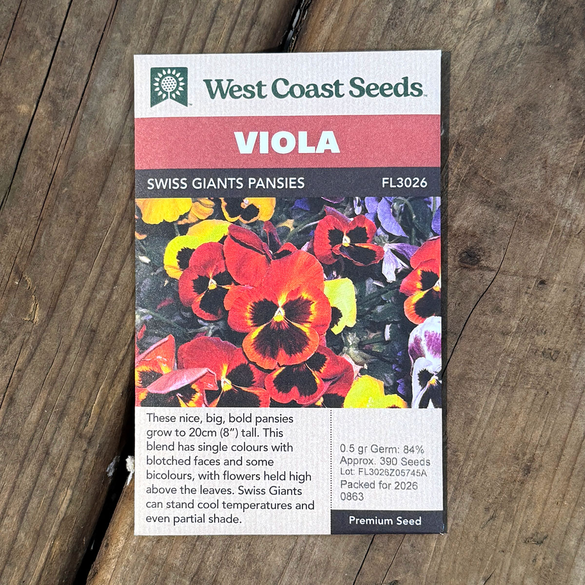 WCS_Viola_SwissGiants.jpg