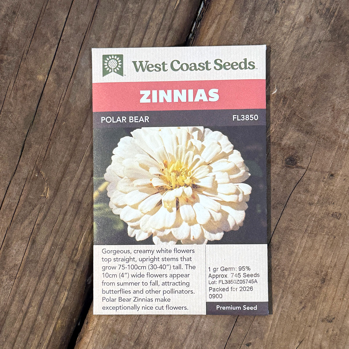 WCS_Zinnias_PolarBear.jpg