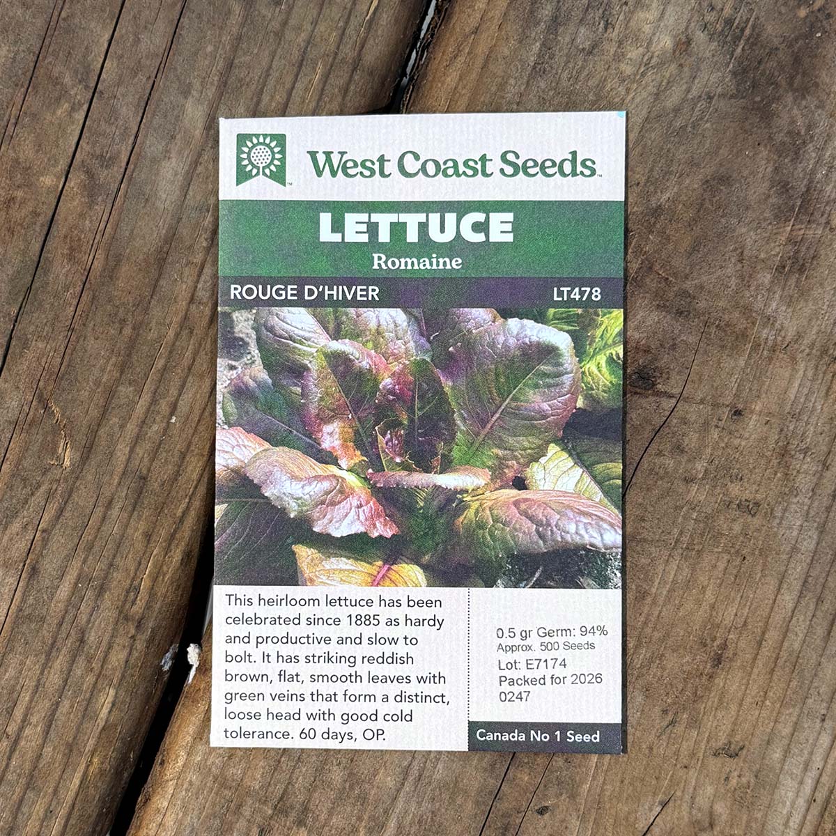WCs_Lettuce_RougedHiver.jpg