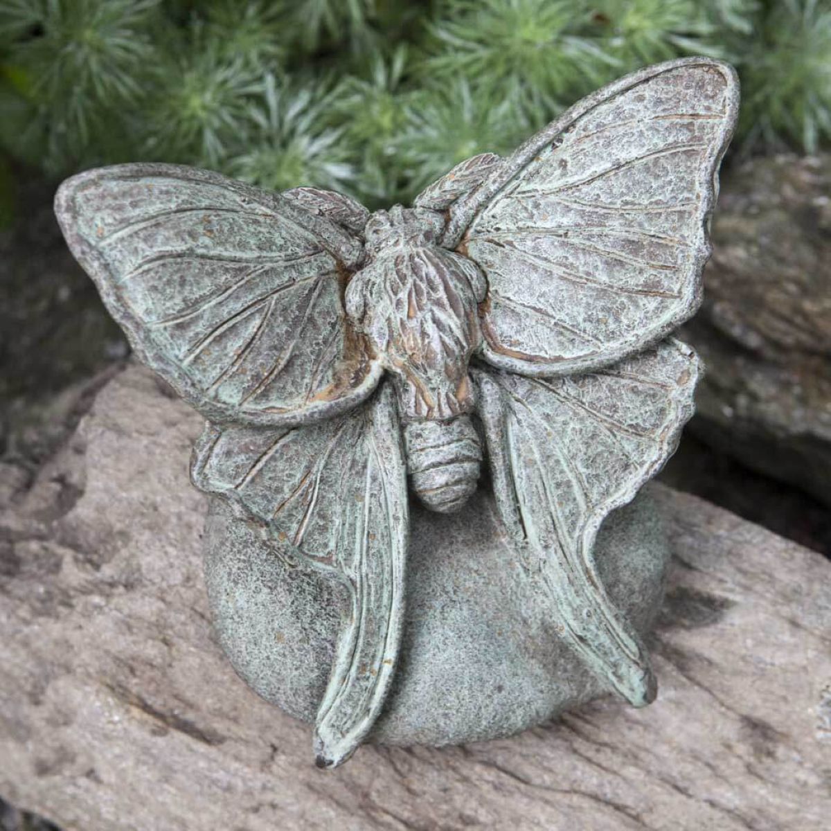 a395-lunar-moth-cast-stone-insect-statue-cb.jpg