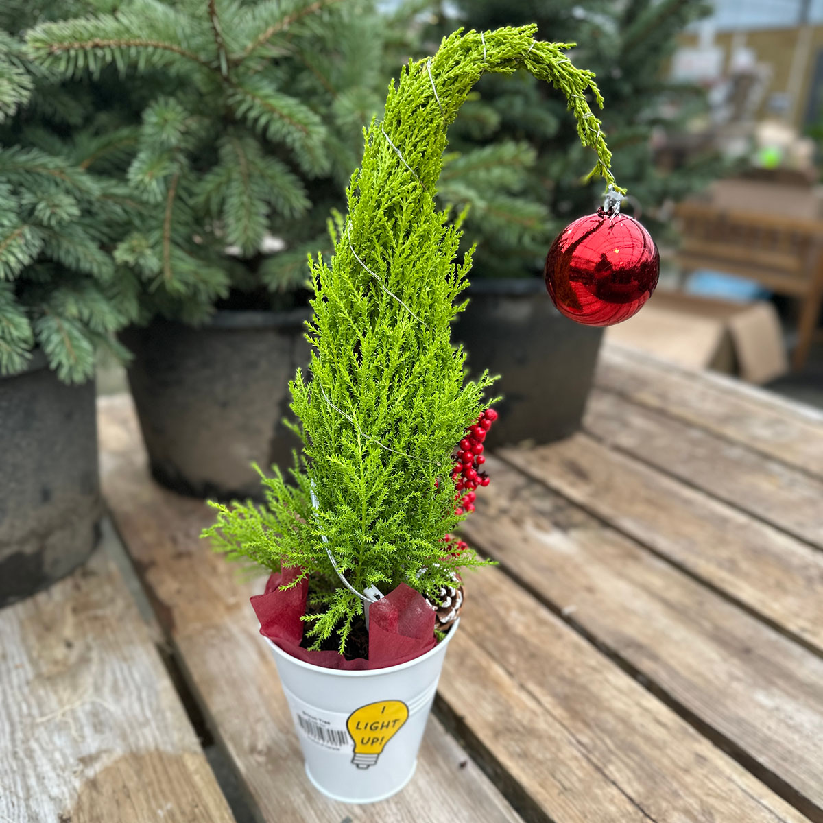 holiday_lemoncypress_grinch_5in.jpg