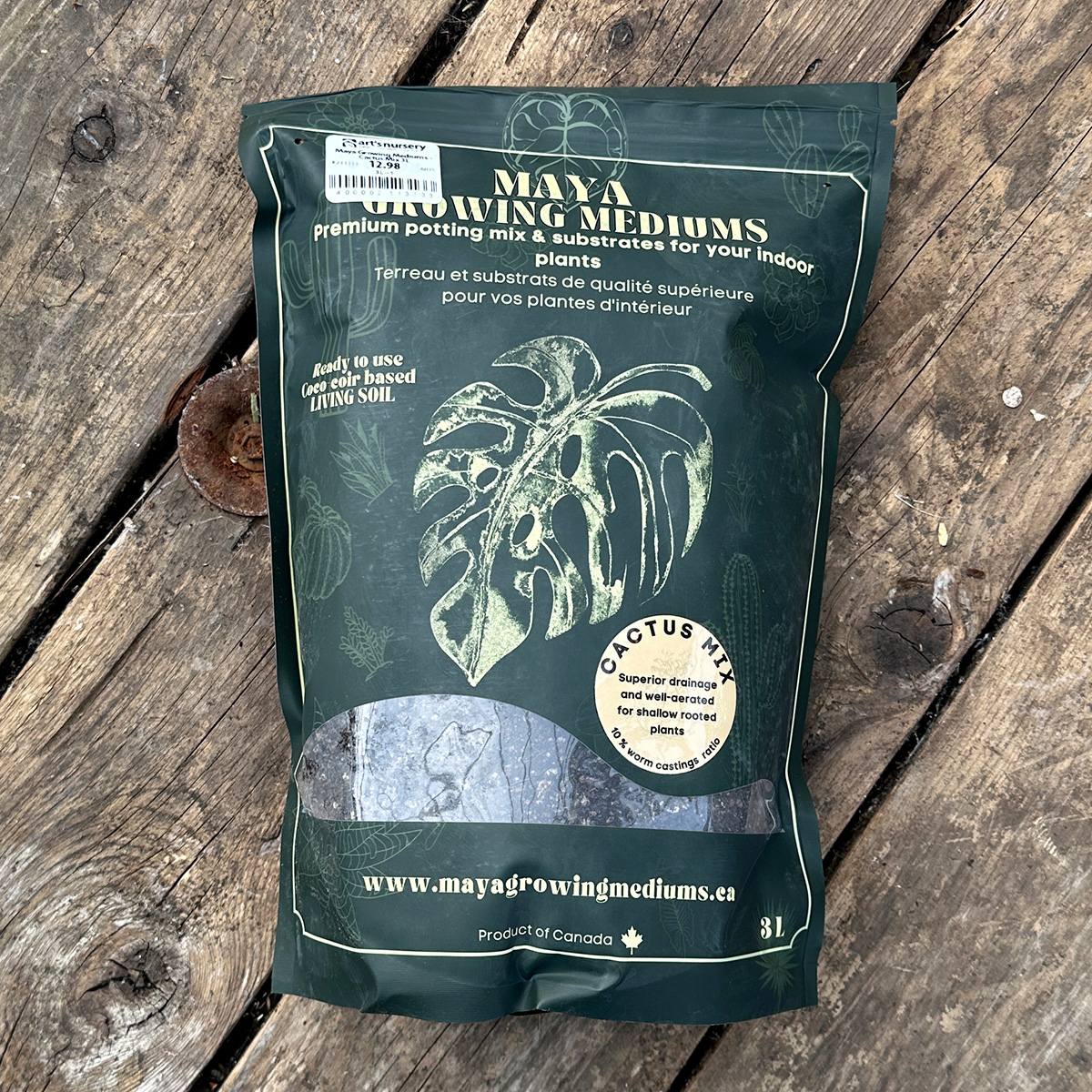 maya_cactusmix_3l.jpg