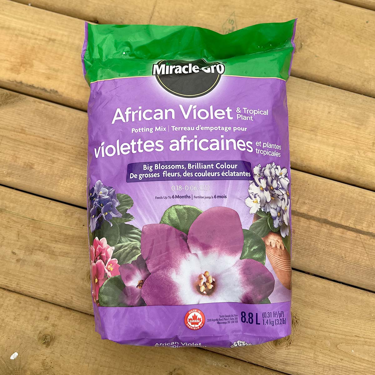 miraclegro_africanviolet_soil.jpg