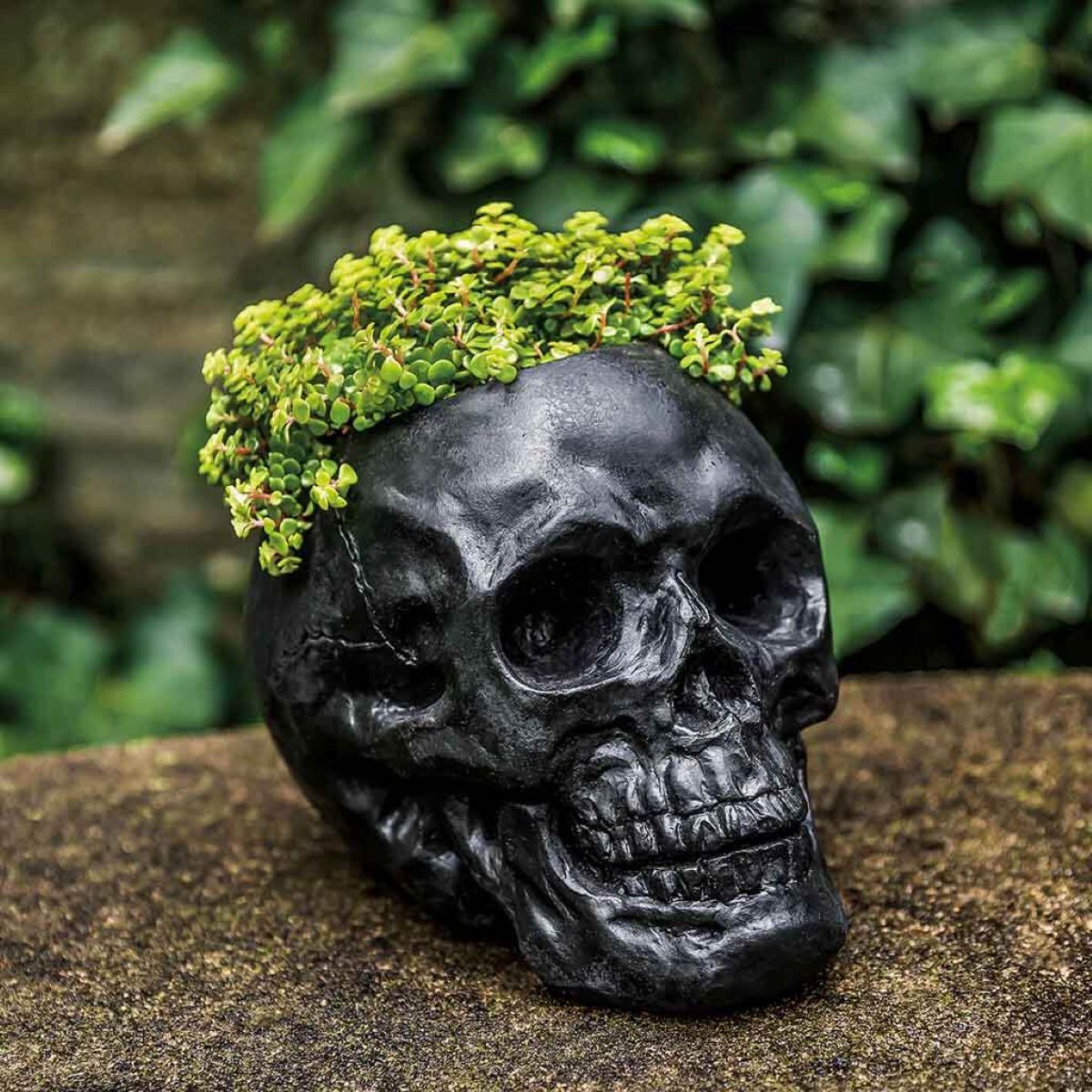 p885-skull-planter-cast-stone-nn.jpg
