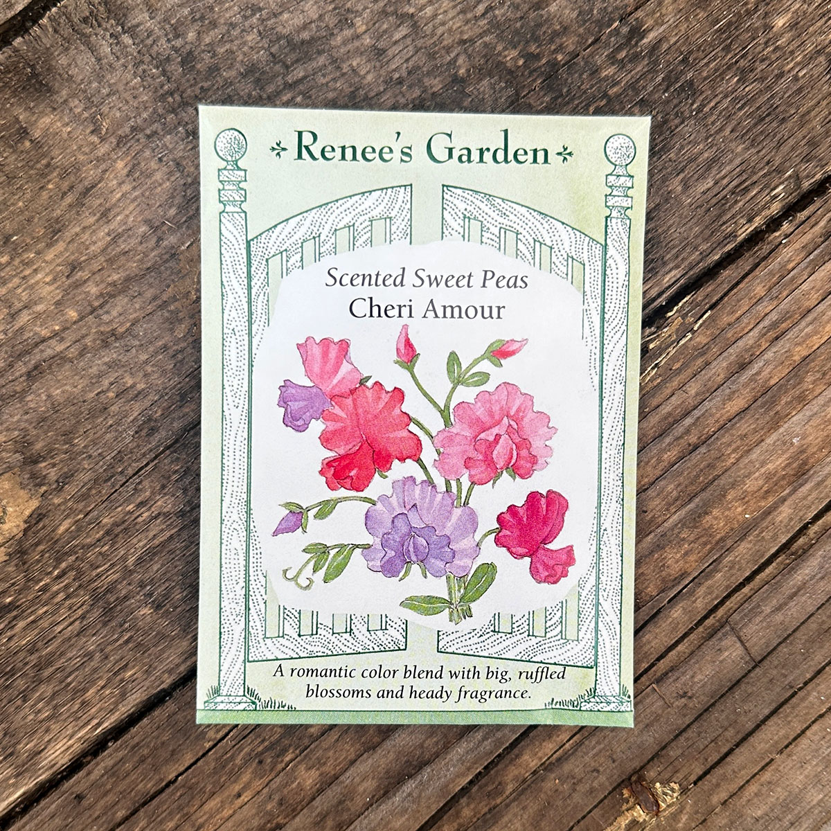 Renees Seeds -Sweet Pea Cheri Amour