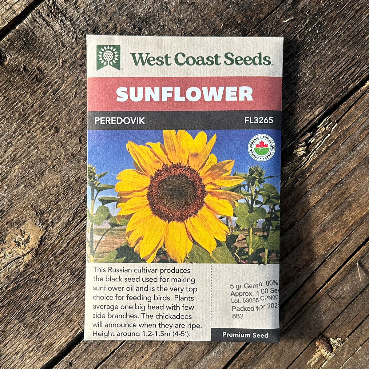 Sunflower Peredovik FL3265 | West Coast Seeds