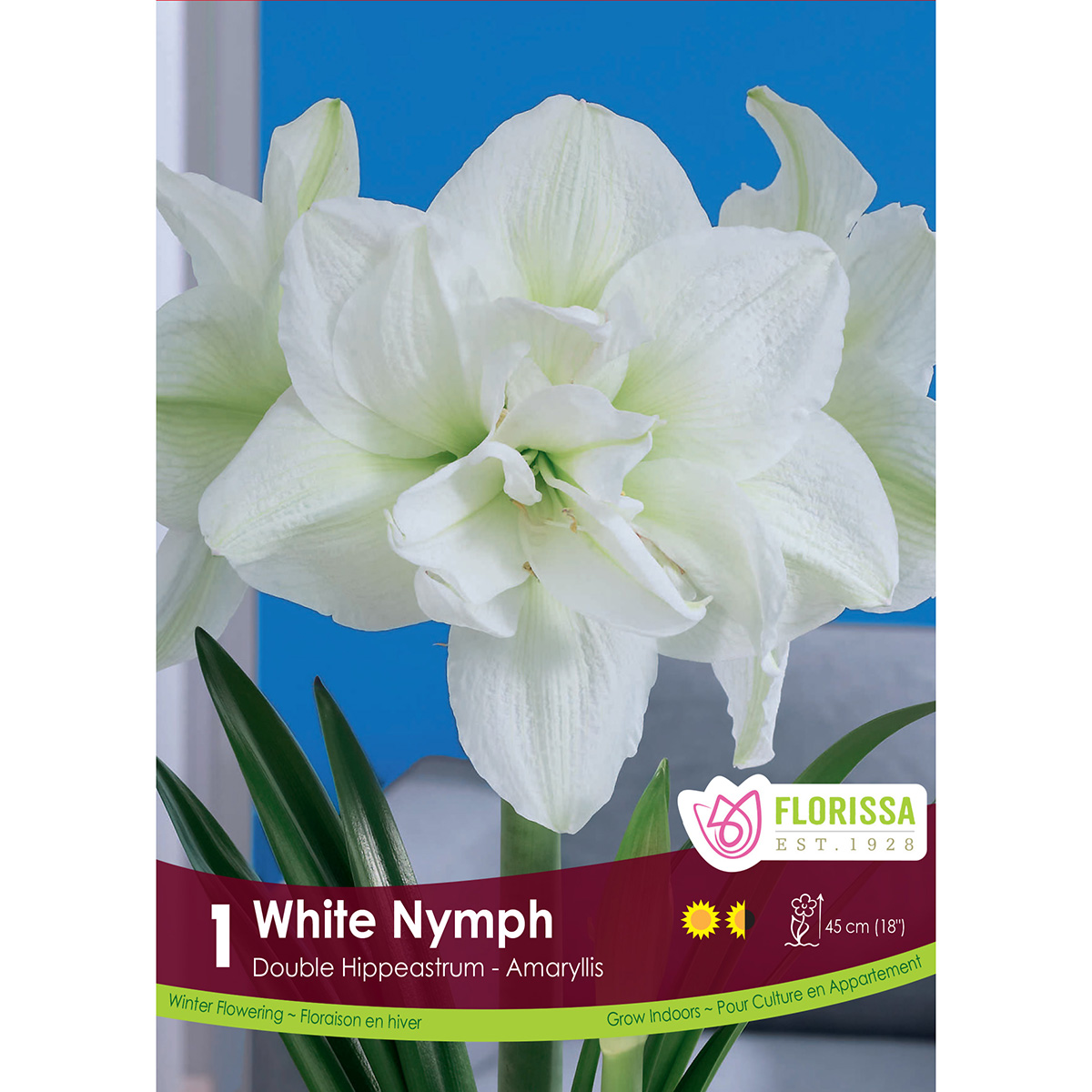 Amaryllis 'White Nymph' Bulb Double