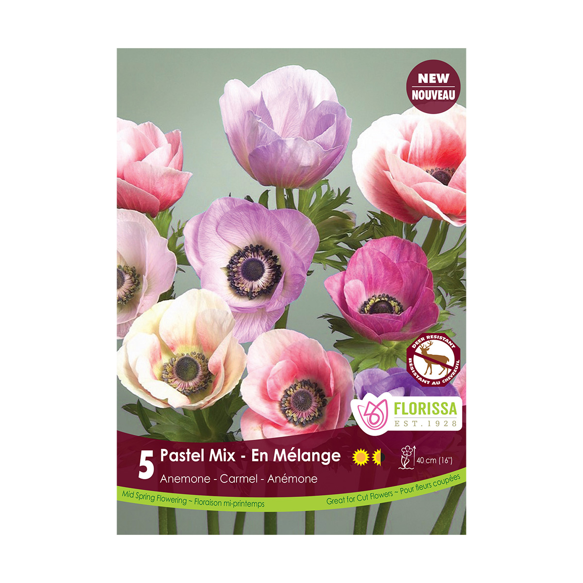 Anemone_Caramel_Pastel_Mix.jpg